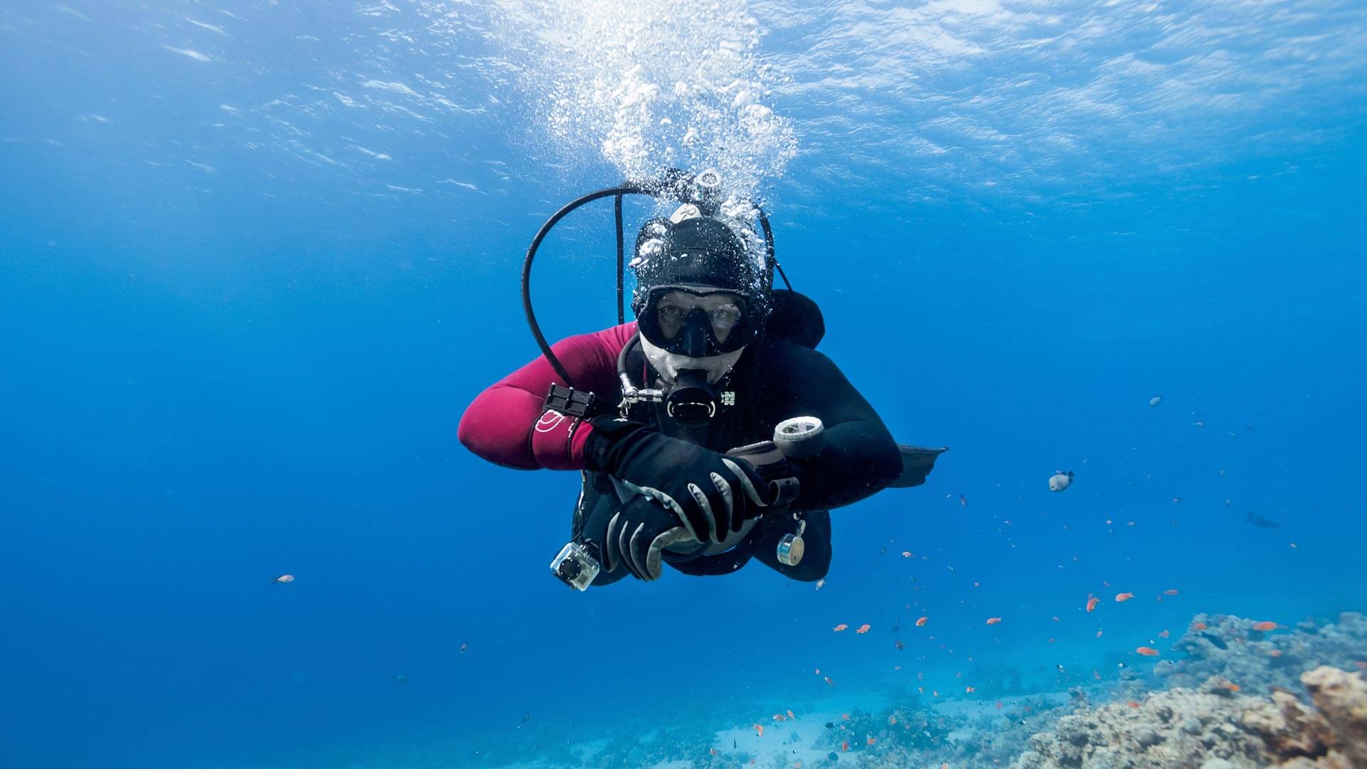 Scuba Diving In Goa 2022 - Skysafar.com